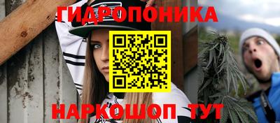 МДПВ Волжск