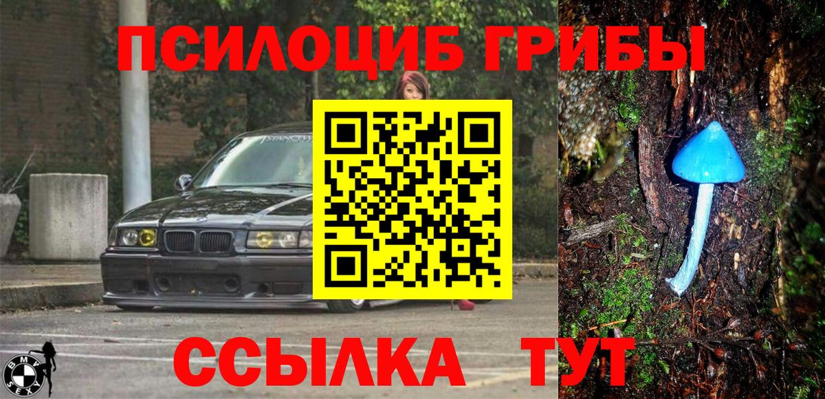 купить закладку  Псилоцибиновые грибы GOLDEN TEACHER  Валуйки  Вход с VPN  Псилоцибиновые грибы мухоморы 